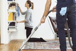 spring and fall cleaning