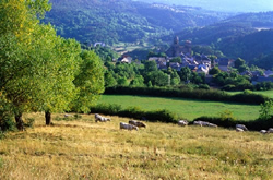 inheriting a fertile land