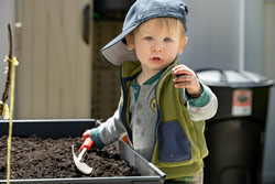 little boy planting seed